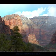 zion54