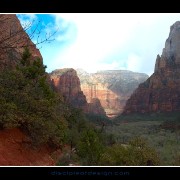 zion55